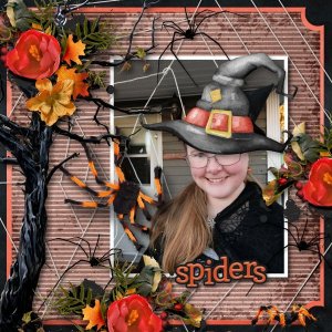 spiders4.jpg