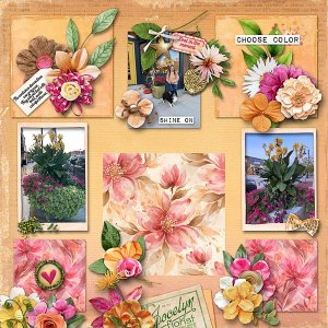 Bold, Colorful Container Displays