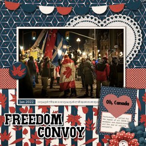 DLPatt_FreedomConvoy_web.jpg