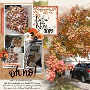 Everyday-Memories_MFish_MaskedMemories6_Leaves-Car_WEB.jpg