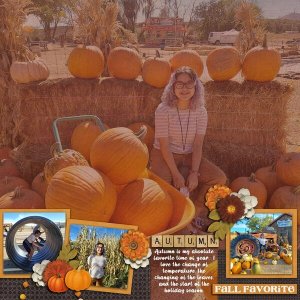 Pumpkins Galore