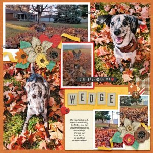 Wedge