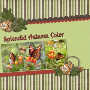 Splendid Autumn Color