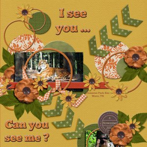 I see you ... can you see me?