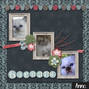 Twin Mom Scraps Kits