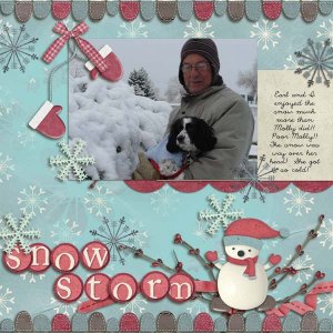 Snow Storm