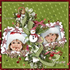 Celebrate the season
