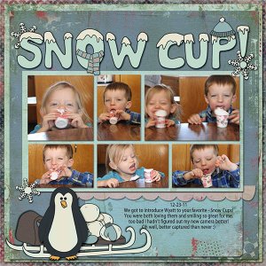 Snow Cup