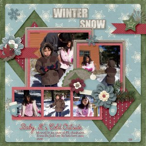 Winter Snow