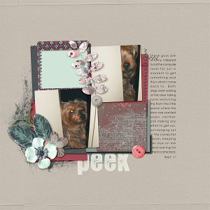 154-11-12-PeekByCFALBRO