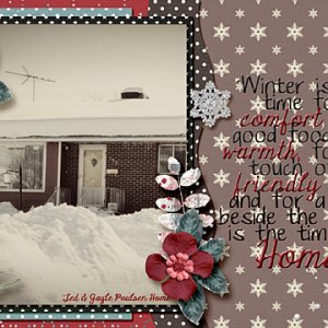 Snowy Home