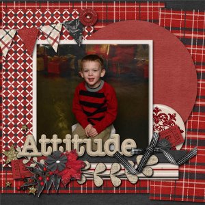Attitude