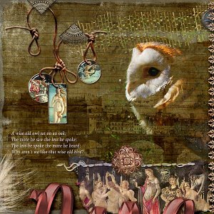 Wisdom of the Owl