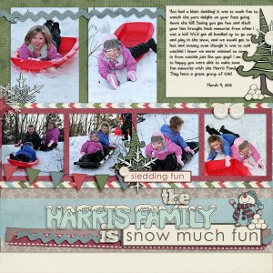 TheHarrisFamilyIsSnowMuchFun2Web