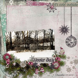 Snow Days