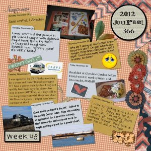 Journal 366, Week 48