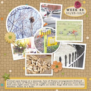 Week 48