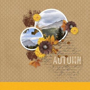 Autumn in Banff_2025-001.jpgCOPY.jpg
