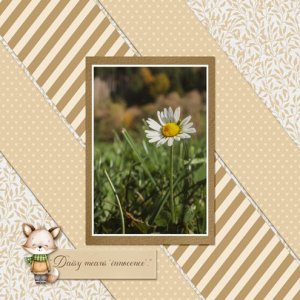 Daisy
