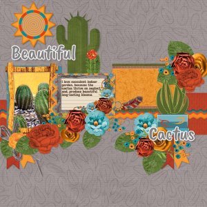 succulents.jpg