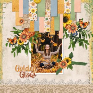 Golden glow.jpg