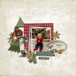 Christmas Baby.jpg