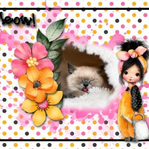Meow!