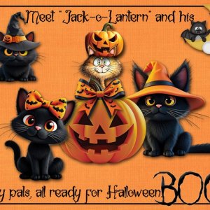 Meet Jack-o-Lantern....