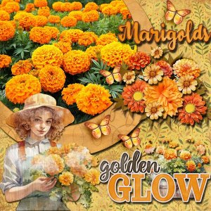Golden Glow