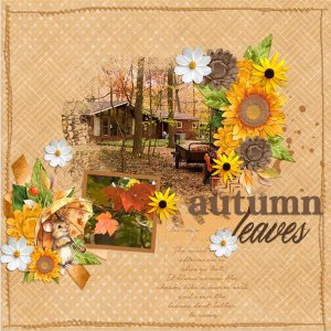AutumnColors.jpg