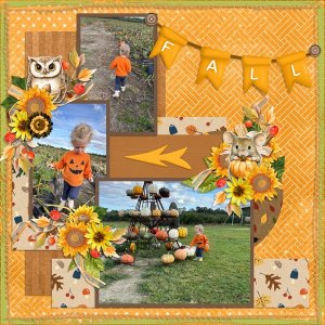 Autumn Colours-ScrapbookCrazy  Robyn.jpg