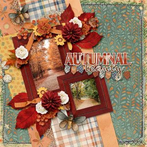 Autumnal Beauty