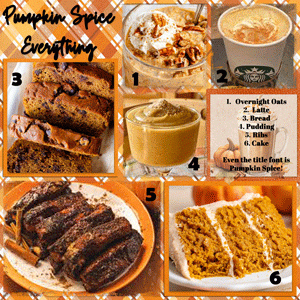Pumpkin-Spice-MFish_PhotoFantastic#2_01.gif