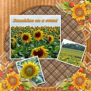 See what the sun can do.