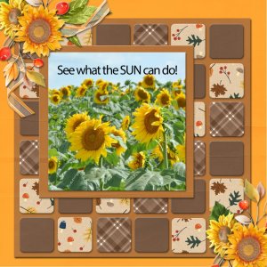 SCR-Now-Temp05-AUTUMNCOLOUR.jpg
