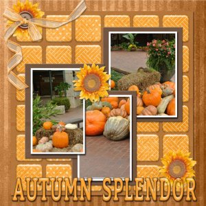 SCR-Now-Temp04-AUTUMNcolour.jpg