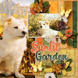 Sunlit Garden