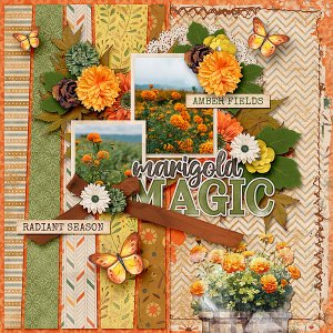 Marigold Magic