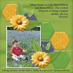 SCR-DAISY-DAY-FunH-Temp05.jpg