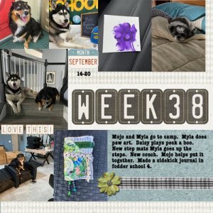 2025-week38.jpg