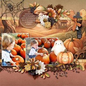 Pumpkin in the Patch