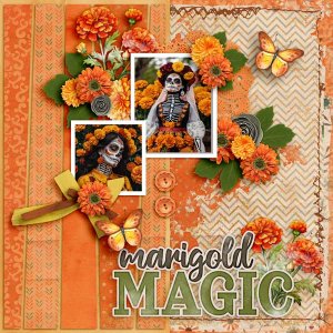 marigolds-aimee-harrison.jpg