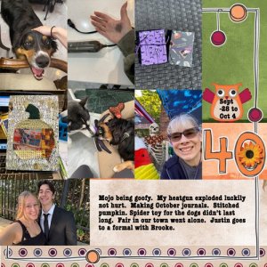 2025-week40.jpg