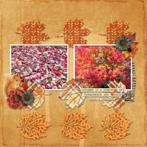 Fall.jpg