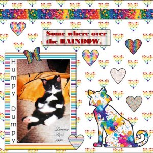 Wild About Styles - October 2025-Rainbow Kitten Humpy Dumpy..jpg