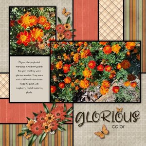 Glorious Color