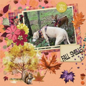 GS-ScrapliftCh-Oct25.jpg