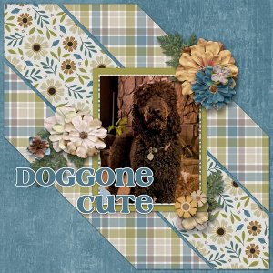 Doggone Cute