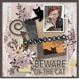 Beware of the cat