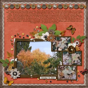 10-October 14, 2025 small.jpg